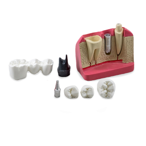 MACRO MODELO NÚCLEO - cód. 8007