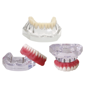 KIT MODELOS DE REABILITAÇÃO - cód. 12644
