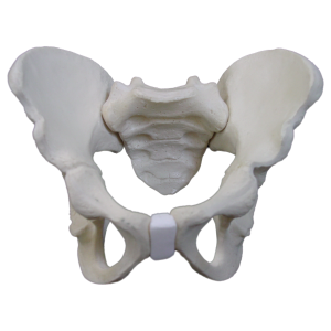 BACIA - INFANTO JUVENIL - cód. 2044